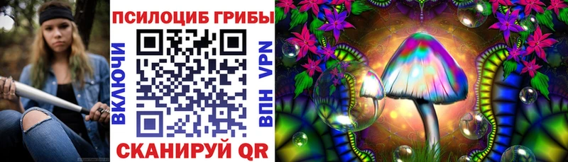 Галлюциногенные грибы ЛСД  как найти закладки  Дигора 